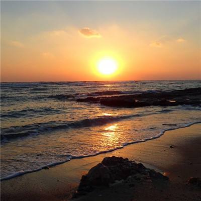 pk10赛车下载手机版